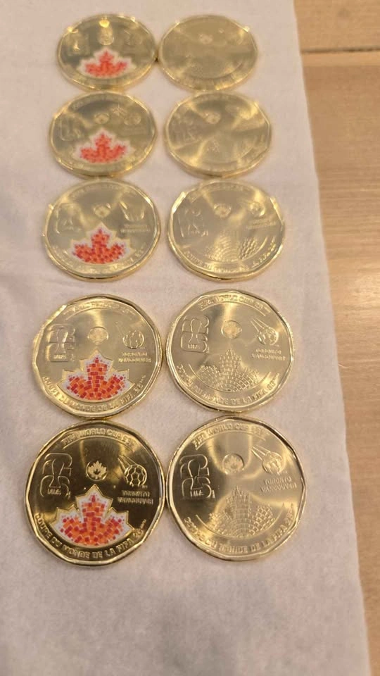 Fifa Loonie - photo 3