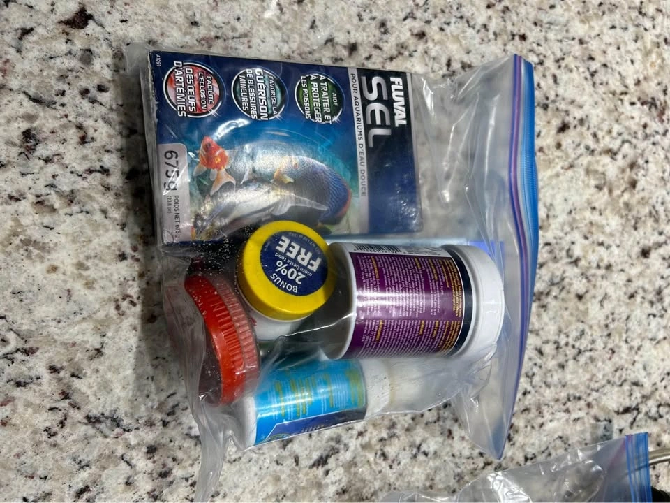 3 Gallon Half Moon Fish Tank - photo 3