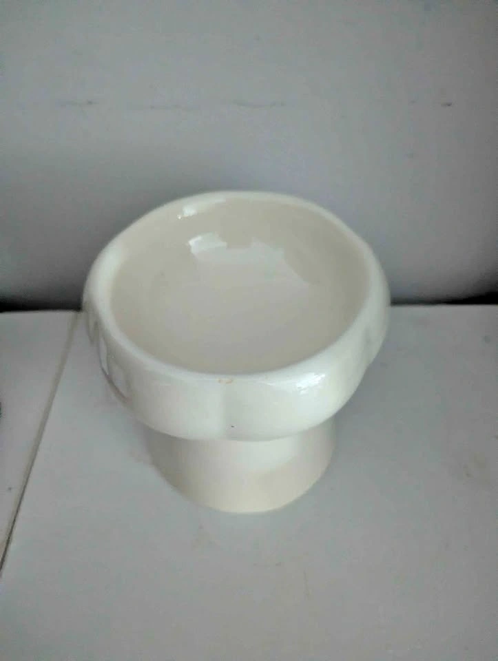 White ceramic raised pet bowl