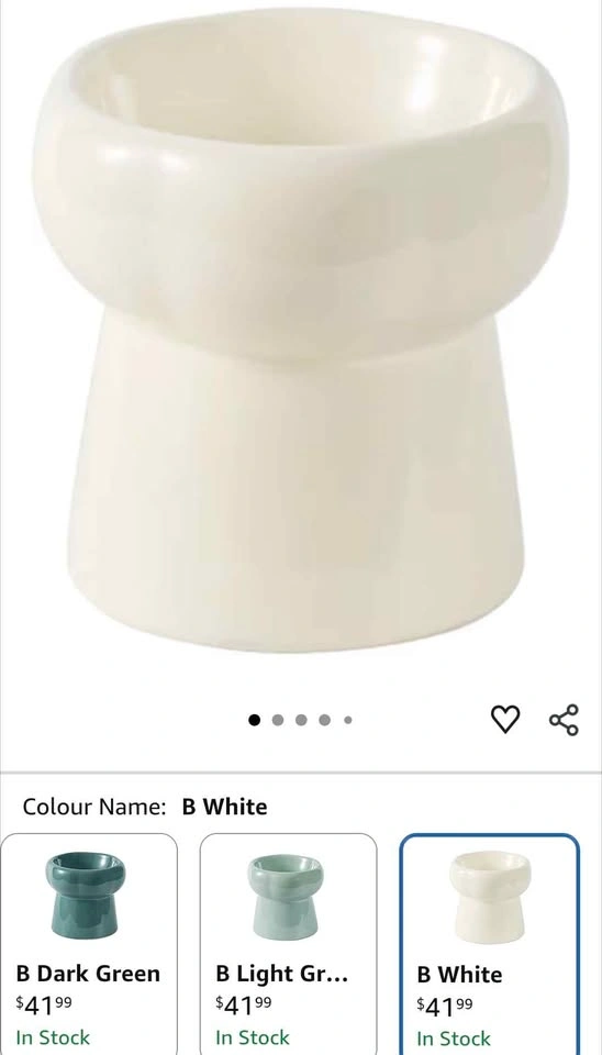 White ceramic raised pet bowl - photo 4