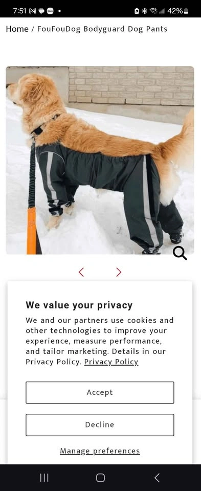 FouFouDog Bodyguard Dog Pants Black XL and L in grey - photo 2