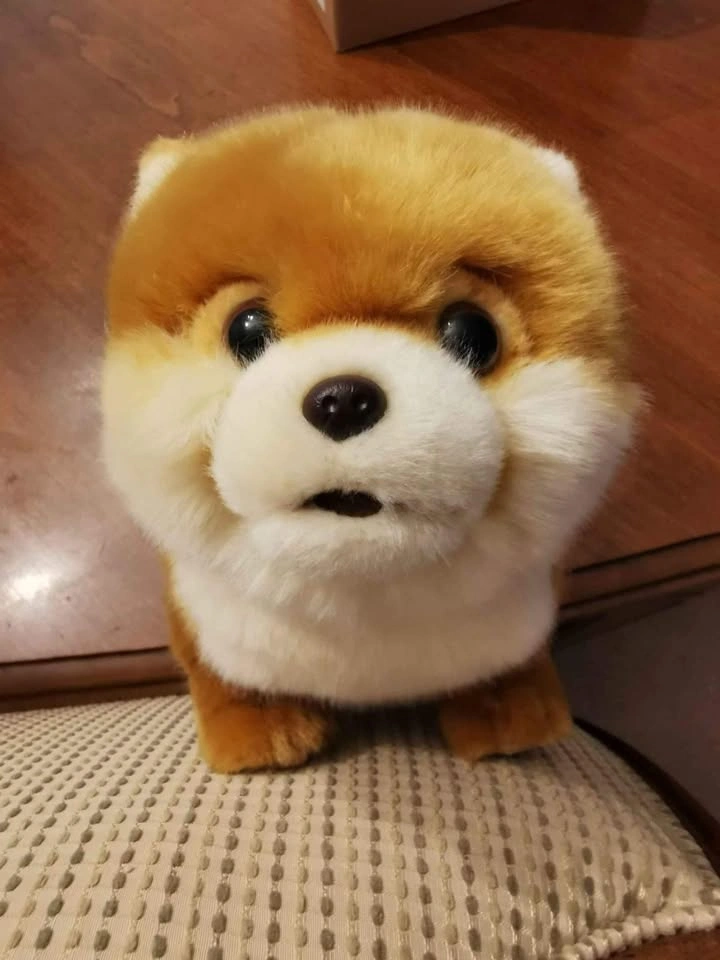 CU-MATE Fluffy Brown and White Stuffed Dog Plush - photo 2
