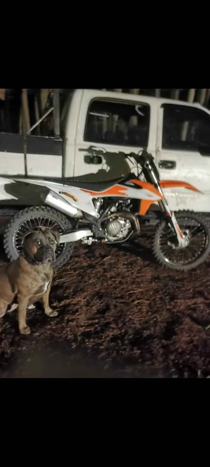 2020 KTM 450 - photo 2