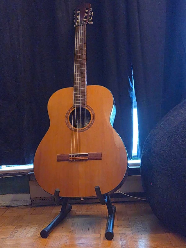 Beginner Guitar Set