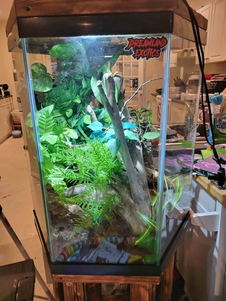 Hexagon Terrarium