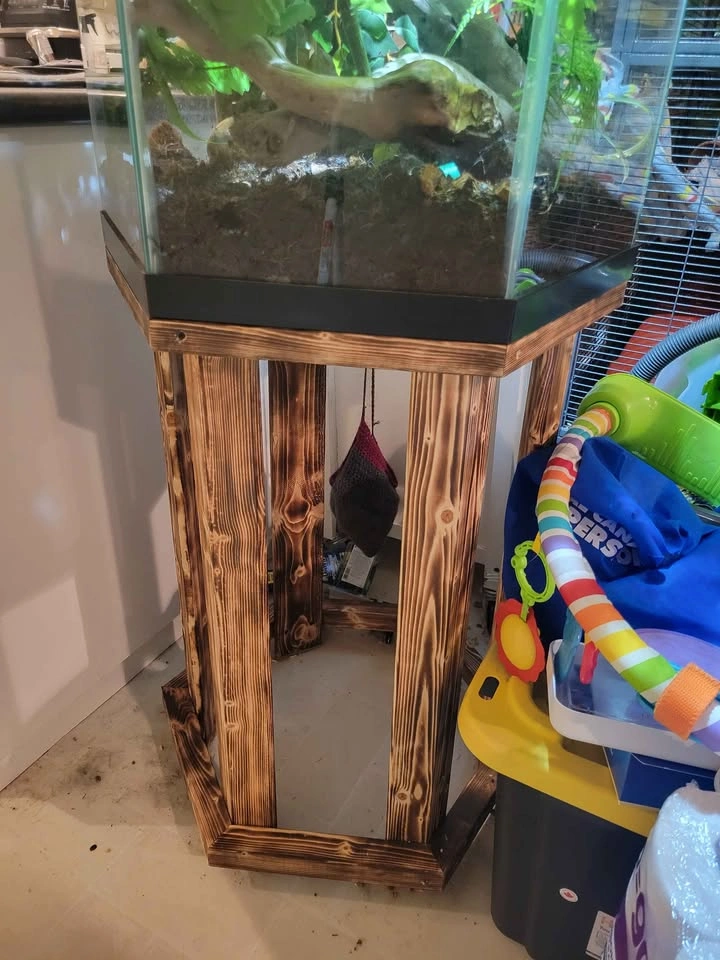Hexagon Terrarium - photo 2