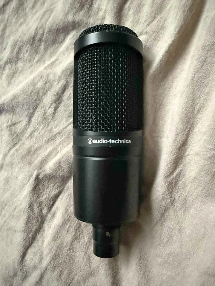 Microphone for artist