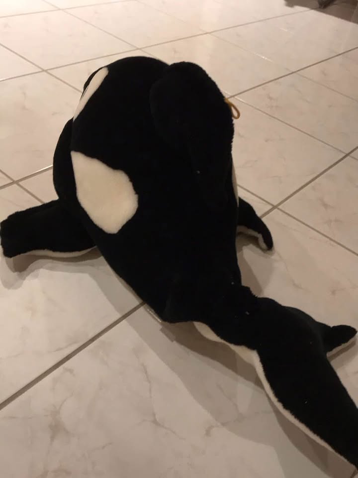 Orca Whale stuffy for sale - photo 3