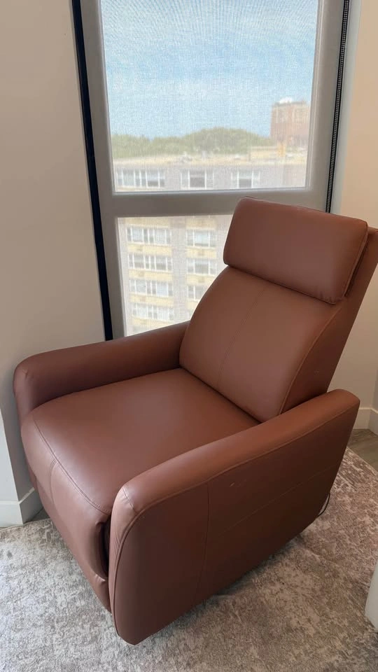 Swivel Power Glider Recliner (Wayfair) - photo 2