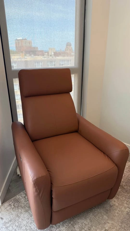 Swivel Power Glider Recliner (Wayfair) - photo 3