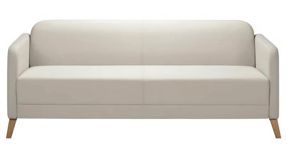 Beige Sofa (IKEA LINANÄS) - photo 4