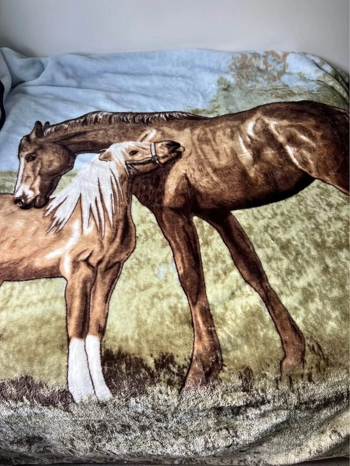 Two soft, cozy blankets for sale - Horse lovers 🐴
