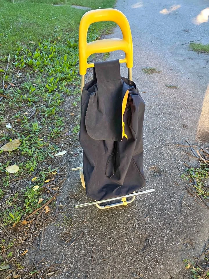Shopping cart with wheels