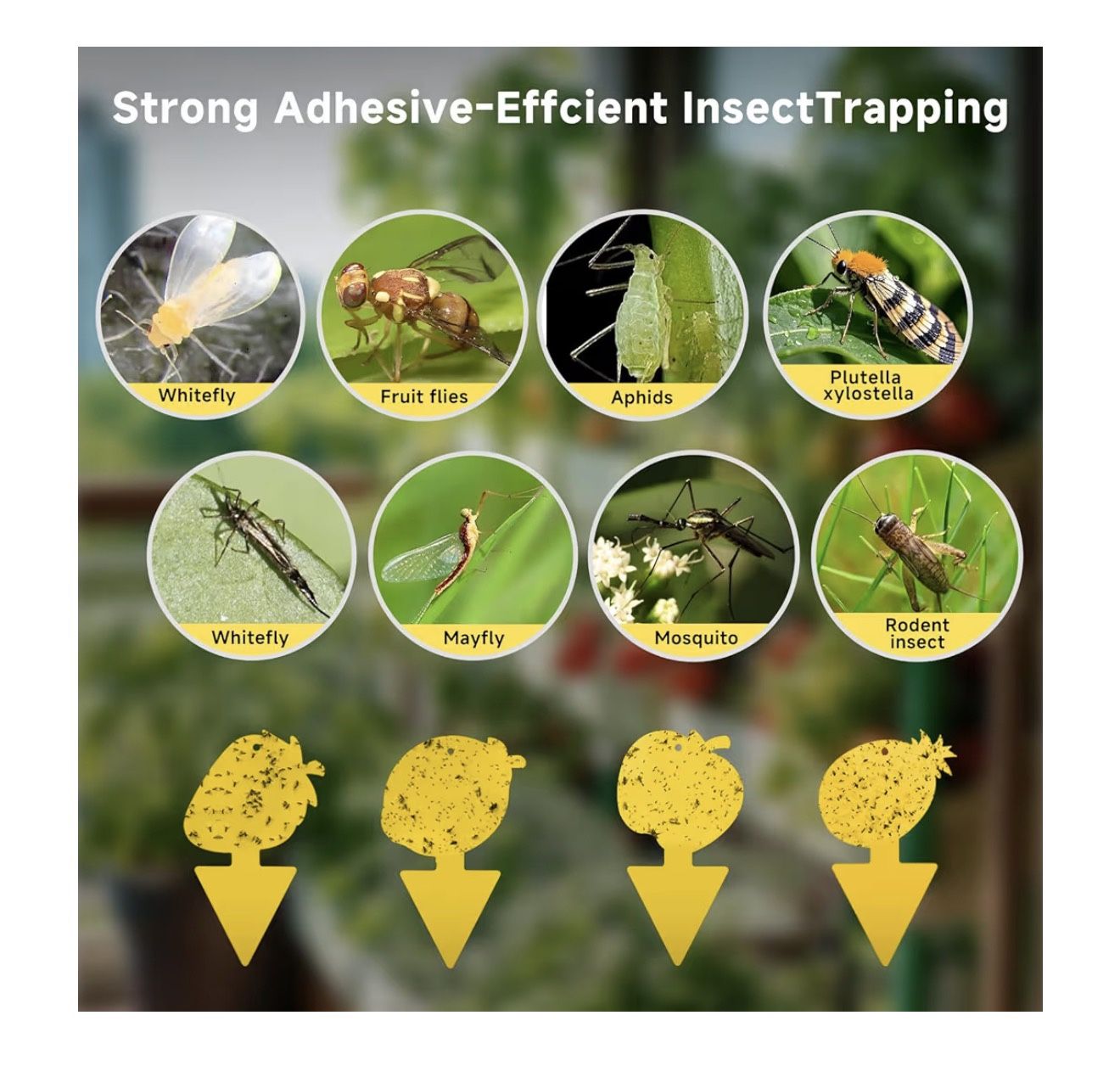 Protect Your Plants With This Sticky Fruit Fly Trap And Gnats Tr - photo 4