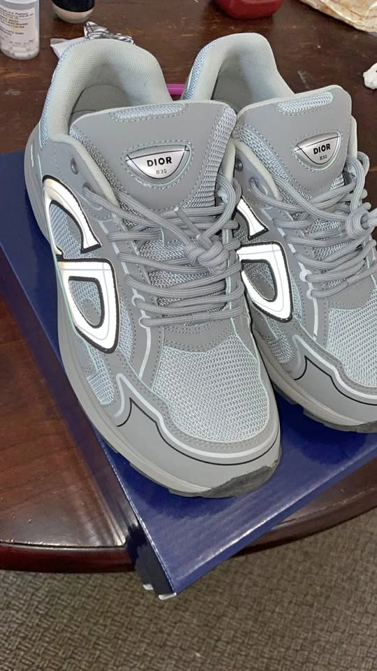 Dior B30 Gray Sneakers