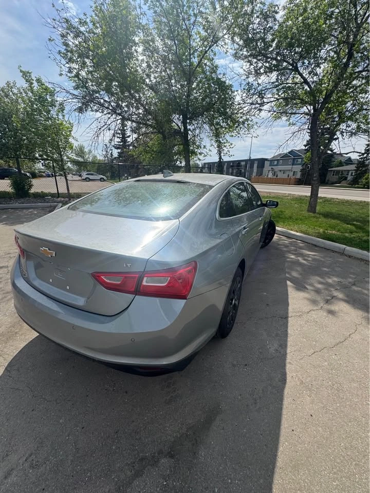 2024 Chevrolet Malibu LT - photo 5