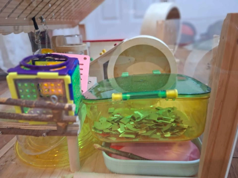 Hamster cage, toys and more - photo 3