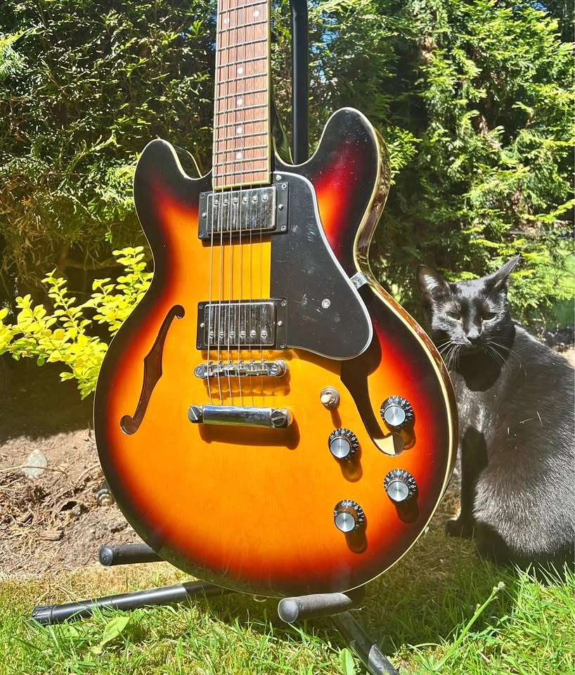 Epiphone ES-339 Semi Hollow Electric Guitar