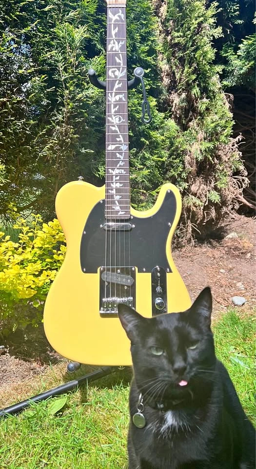 Telecaster CUSTOM Electric Guitar + Soft Case