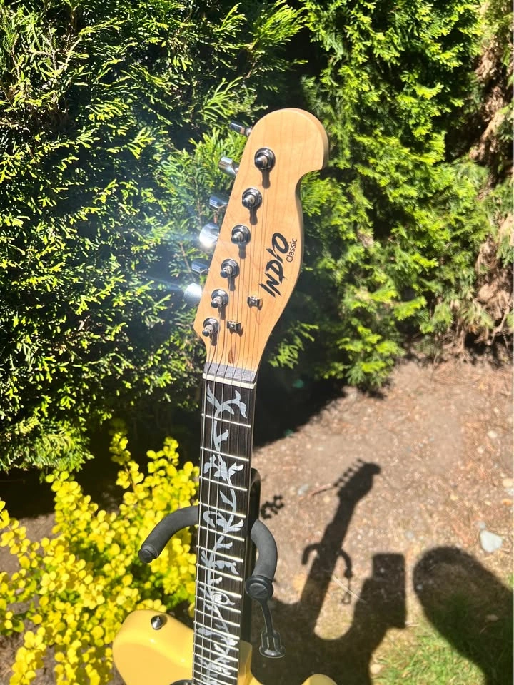 Telecaster CUSTOM Electric Guitar + Soft Case - photo 2