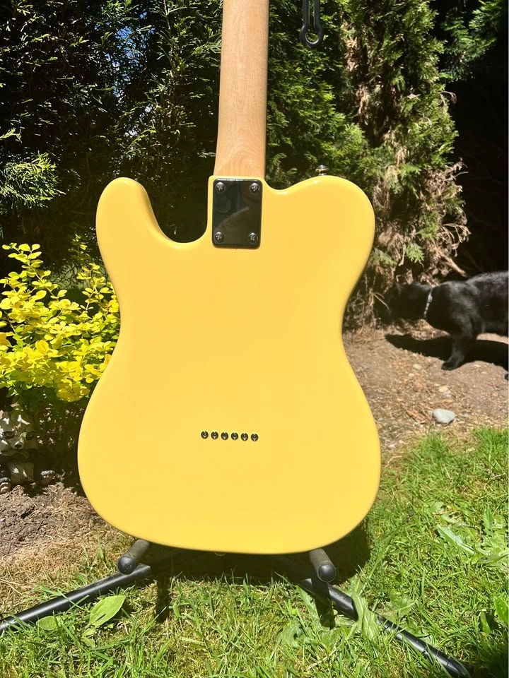 Telecaster CUSTOM Electric Guitar + Soft Case - photo 3