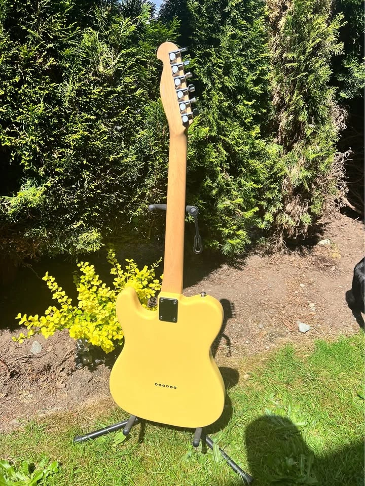 Telecaster CUSTOM Electric Guitar + Soft Case - photo 4