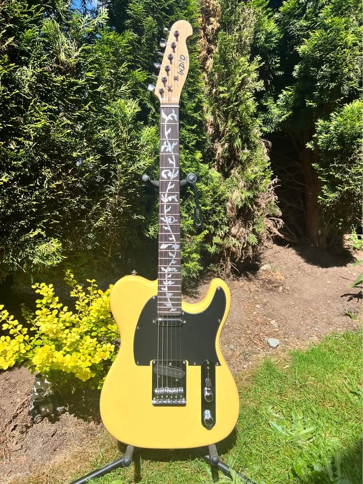 Telecaster CUSTOM Electric Guitar + Soft Case - photo 5