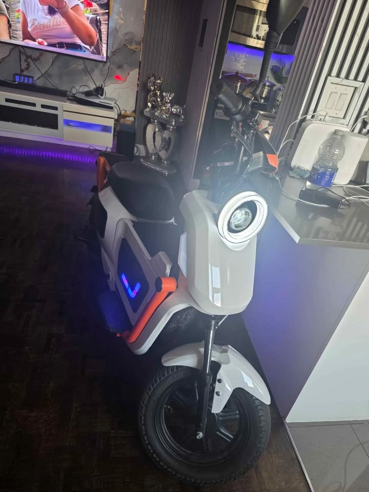 U2 PRO ebike - photo 2