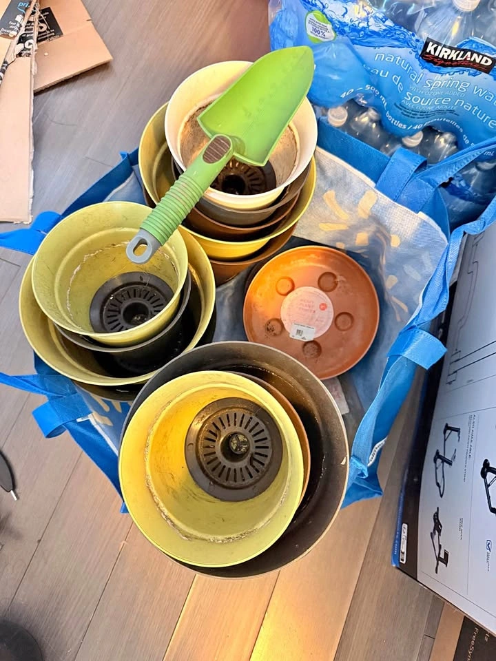 Plant pots x14 and pots base trays x7 and big trays x2