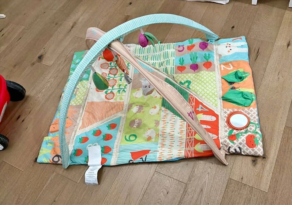 Skip hop farm stand activity gym/play mat