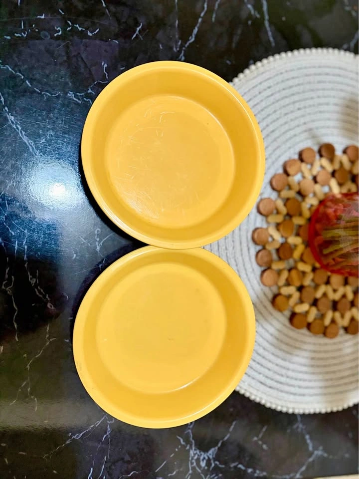 Set of 4 Plastic Bowls – Lightweight & Durable
