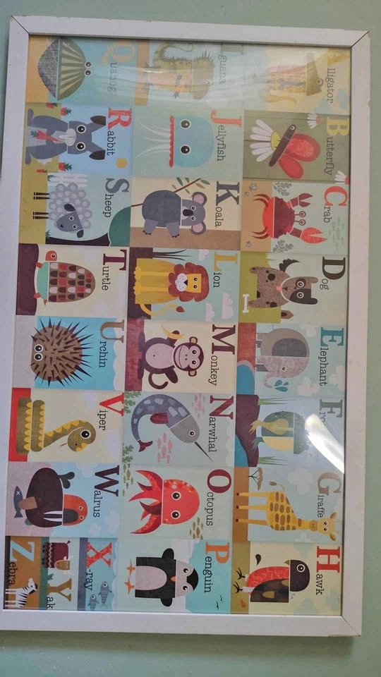 A bunch of signs and posters