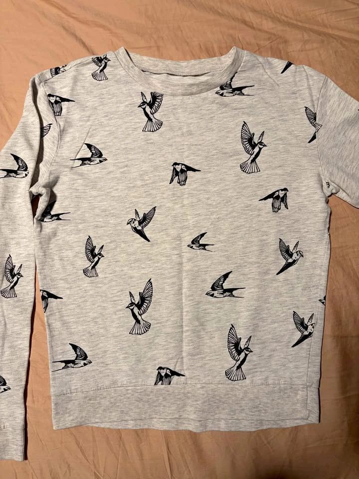 Bird Sweater/top