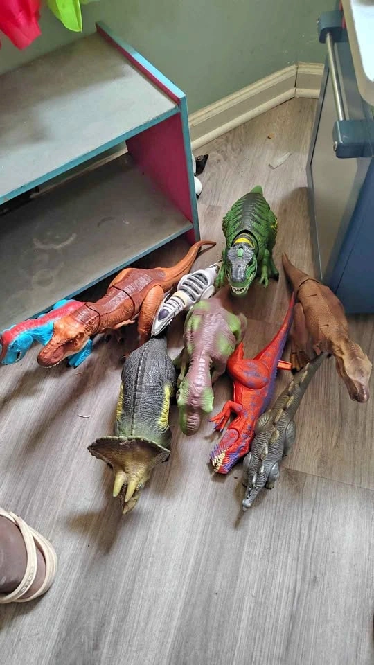 A bunch of toy dinosaur needs to go