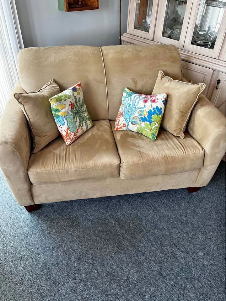 Comfy Loveseat