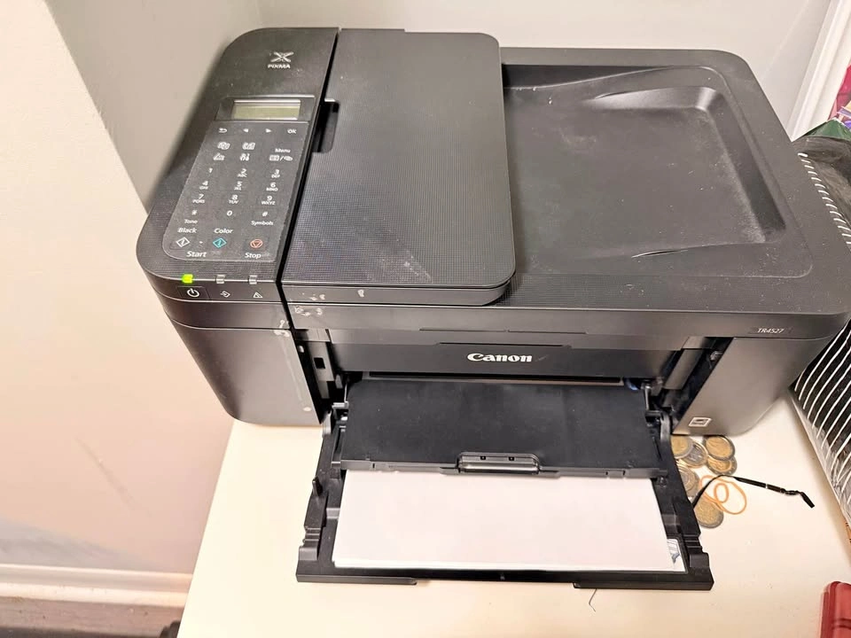Printer with extra inks