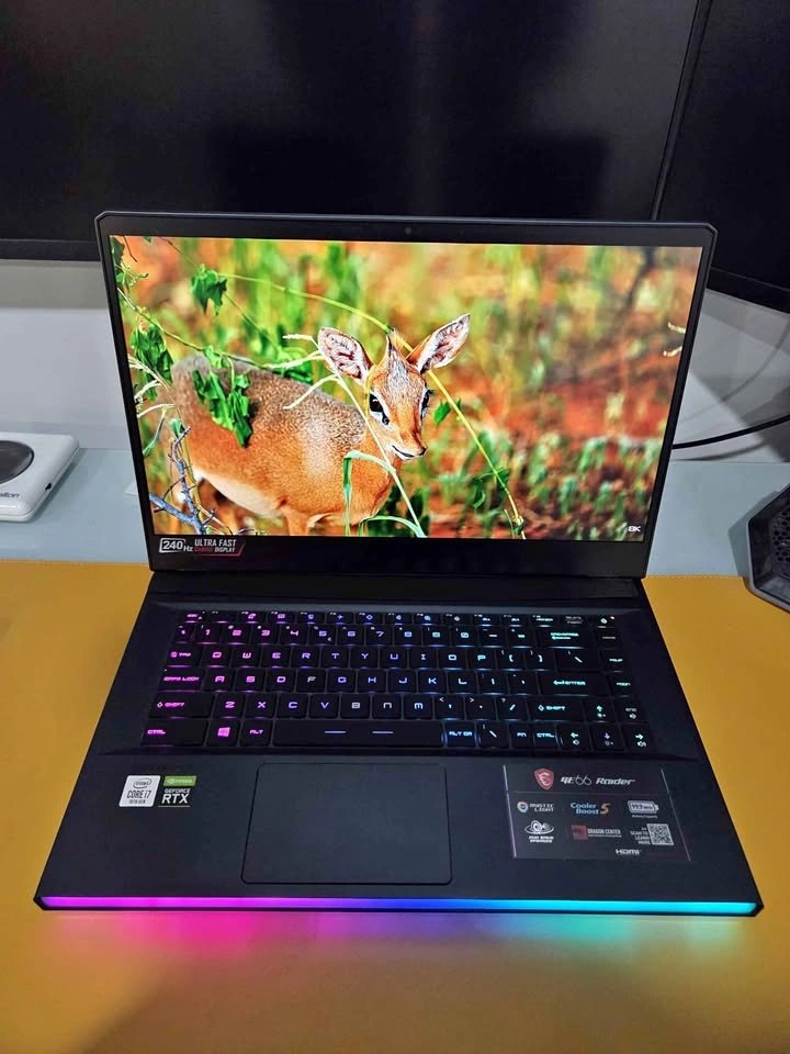 MSI GE66 Raider Gaming Laptop - RTX 2070, 240Hz, Cooling Pad