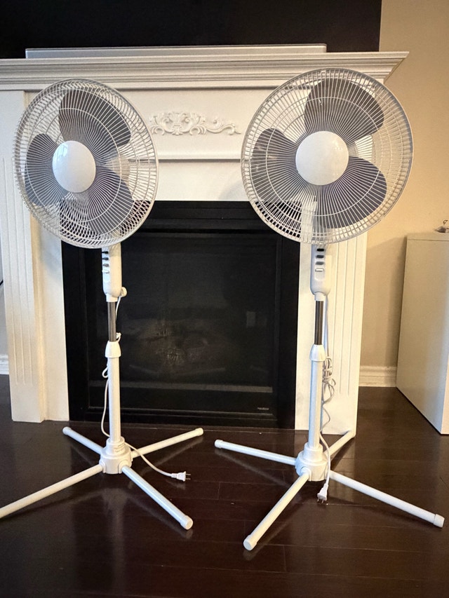 2 White Pedestal Fans