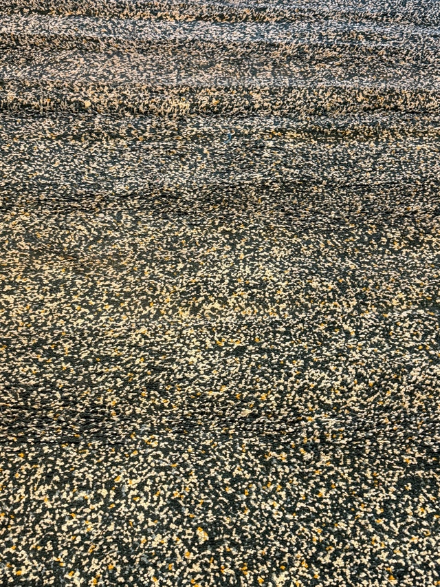 IKEA Area Rug - photo 2