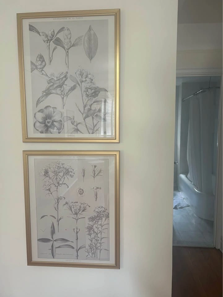 Encyclopedie de la Plante Artwork Set of 2 - photo 2