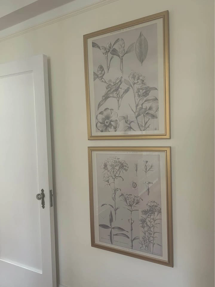 Encyclopedie de la Plante Artwork Set of 2 - photo 3