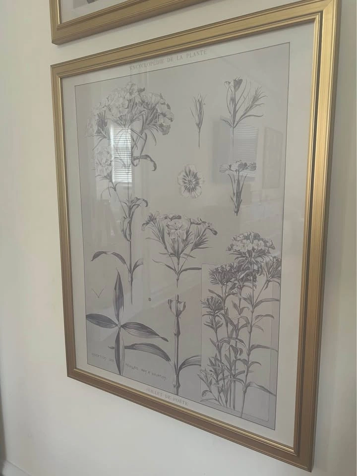 Encyclopedie de la Plante Artwork Set of 2 - photo 4