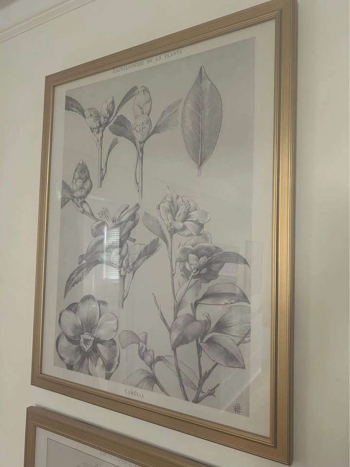 Encyclopedie de la Plante Artwork Set of 2 - photo 5