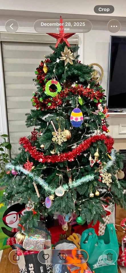 FREE/ Christmas tree 6ft - no decorations Included- porch pickup