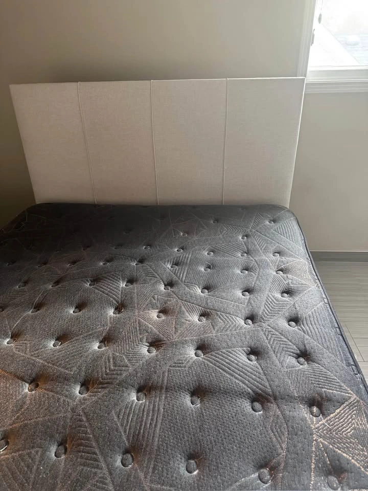 Sealy Posturepedic Plus Optimum Grand Era (Firm) - photo 2