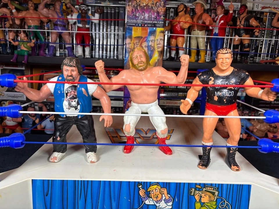 6 WWF WWE LJN 1980’s 8” Rubber Wrestling Figures - MDM - photo 5