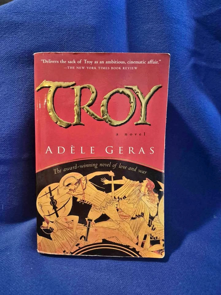 Troy Book by Adle Geras
