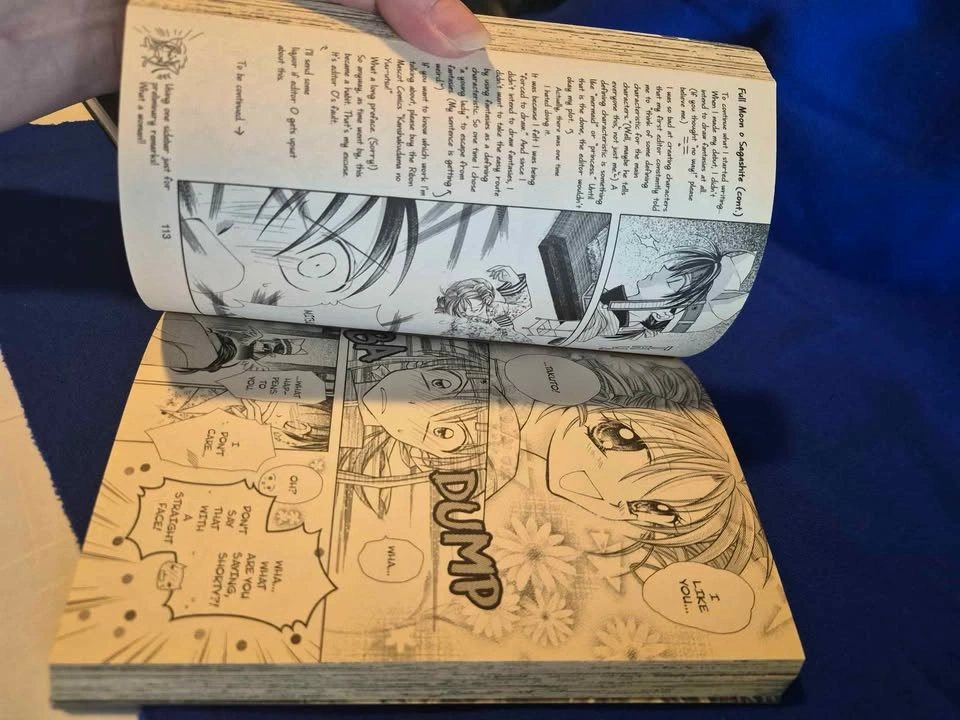 Full Moon Manga Arina Tanemura Vol 1 - photo 3