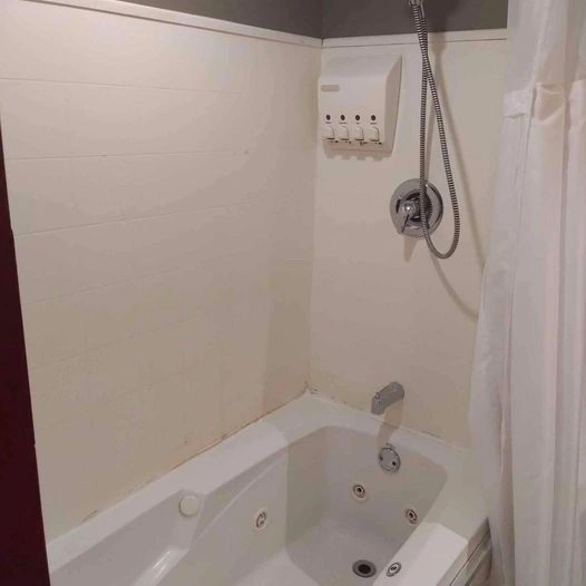1 Bed 2 Baths Apartment - photo 4
