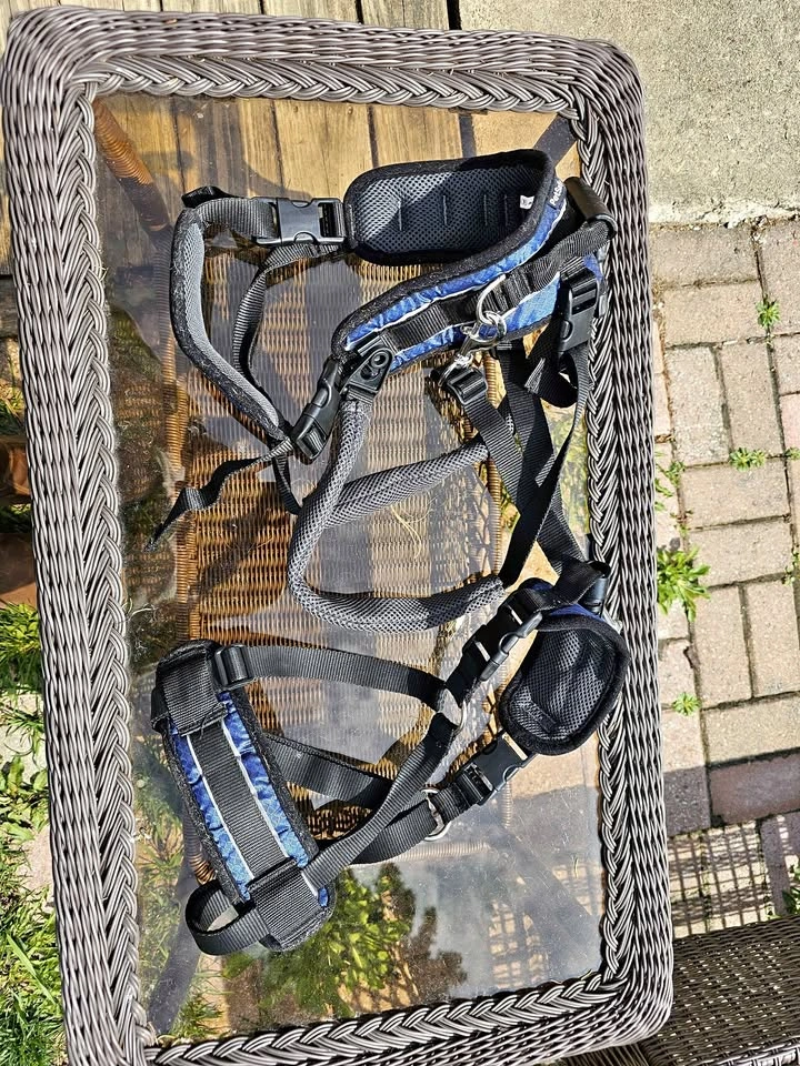 Pet safe Carrying Harness XL